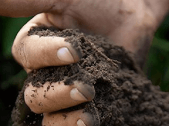 better soil