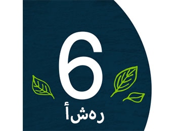  أشهر6