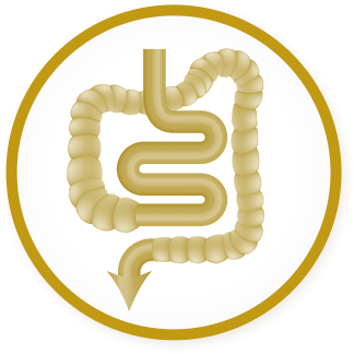 Human Milk Oligosaccharides