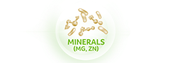 Minerals