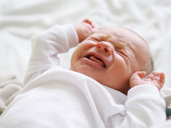 newborn baby crying