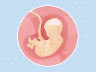 Week 22 Week 22