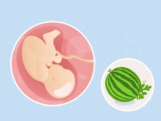 fetal development week 39