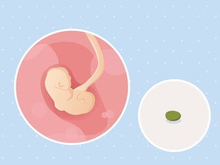 pregnancy-belly-fetal-development-week-4-no-text fetal development week 4