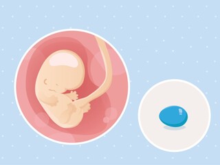 fetal development week 8