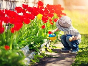 Kid in garden