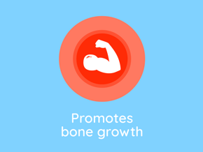 Bone Growth