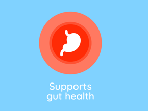 Gut Health