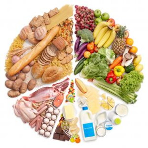 protein protein