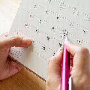 pregnancy calender