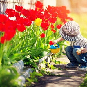 Kid in garden Kid in garden