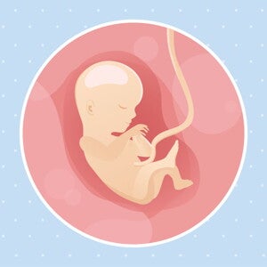 Week 15