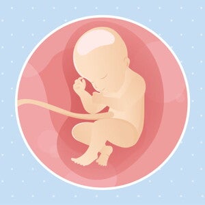 Week 31