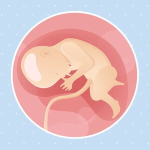 Week 33