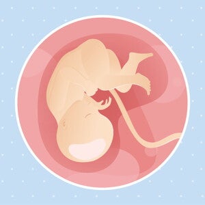 Week 35