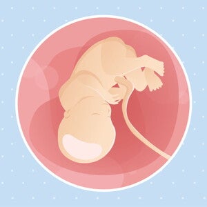 Week 36