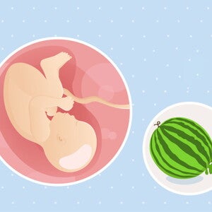 fetal development week 39