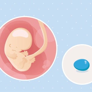 fetal development week 8