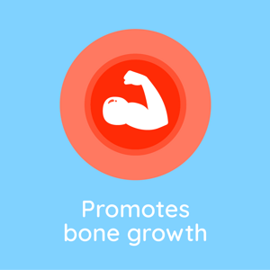 Bone Growth