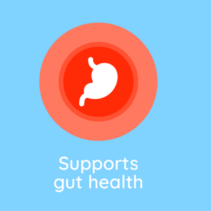 Gut Health