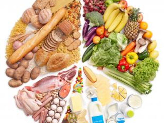 protein protein