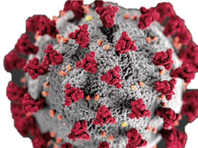 corona virus corona virus