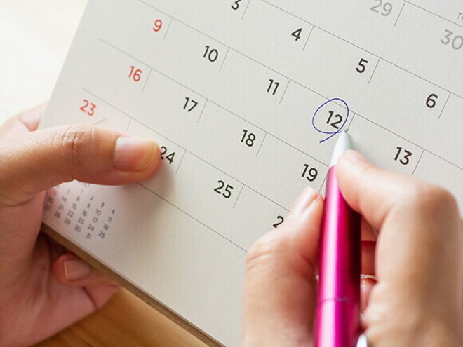 pregnancy calender
