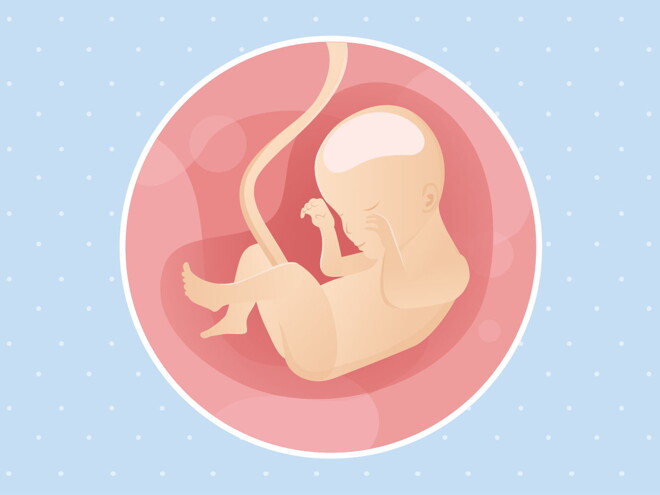 Week 24 Week 24