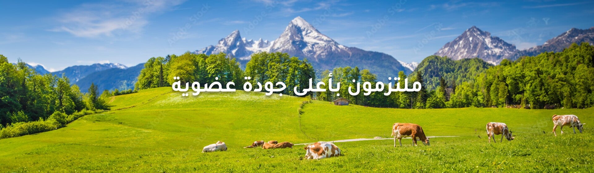 Organic AR Banner Organic AR Banner