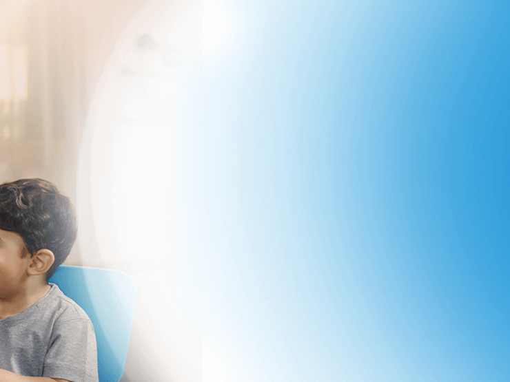 GUIGOZ Banner GUIGOZ Banner