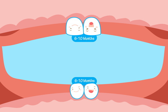 Stages of Teething in Children Stages of Teething in Children