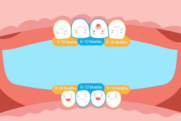 Stages of Teething in Children Stages of Teething in Children
