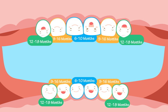 Stages of Teething in Children Stages of Teething in Children
