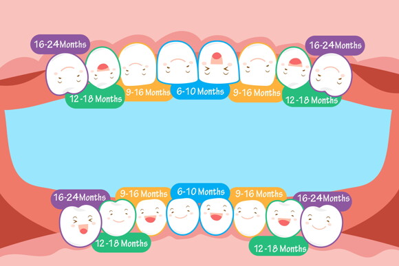 Stages of Teething in Children Stages of Teething in Children