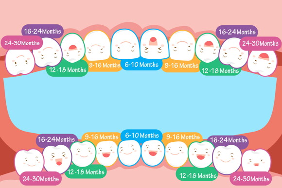 Stages of Teething in Children Stages of Teething in Children