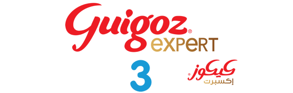 Guigoz Expert 3 Logo Guigoz Expert 3 Logo