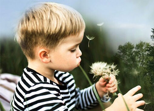 child in field with flower