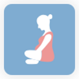 Pregnancy Stage icon