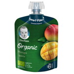 GERBER® - Organic Mango 90g