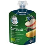 GERBER® Organic Puree – Apple, Banana, Blueberry & Blackberry 90g