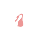 الحمل